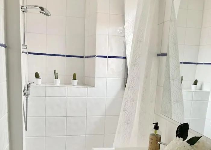 Sous Les Toits Tres Bien Place Et Climatise Montpellier